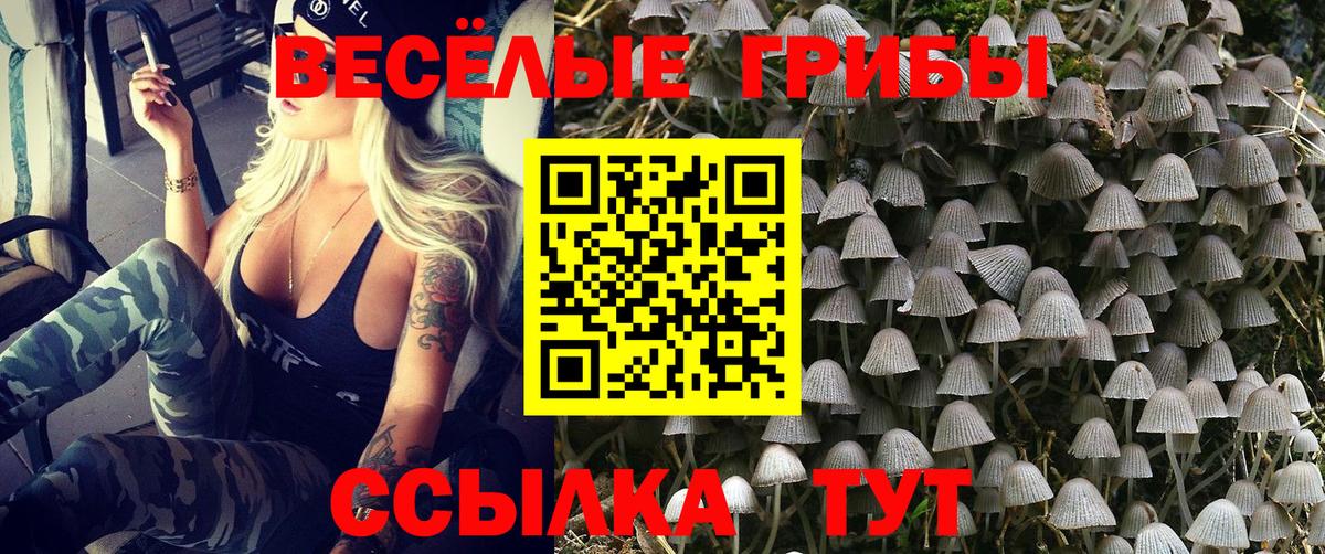Галлюциногенные грибы Psilocybe  Галлюциногенные грибы MAGIC MUSHROOMS  Гуково  Вход с VPN 
